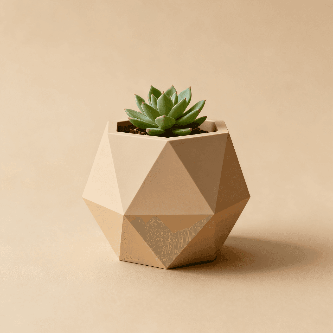 Planters